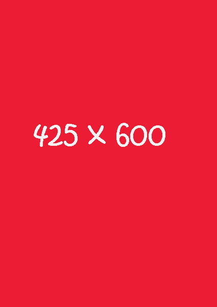 425 x 600 Extra Large Rectangle